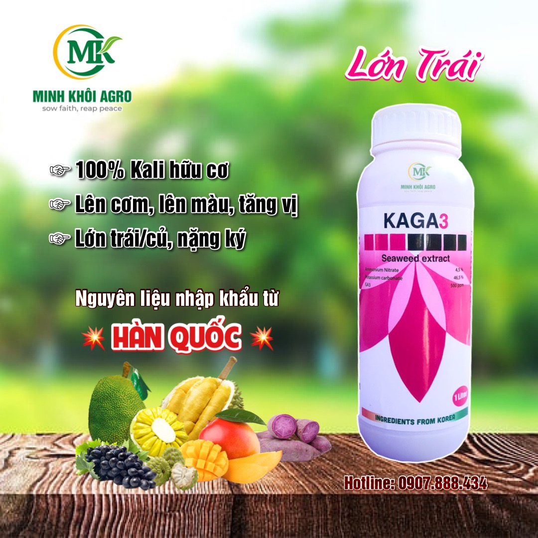 Phân bón cao cấp KAGA3 - Chai 1 lít